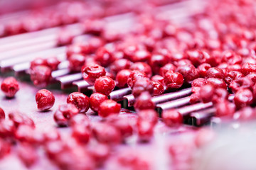 sour cherries in processing machines