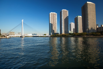 Fototapeta premium 臨海エリアの高層マンション