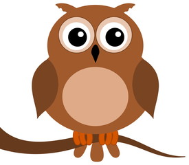 owl on branch