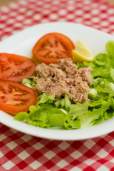 Tuna Fish Meat Over Green Salad
