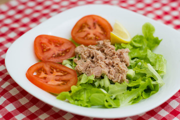 Tuna Fish Meat Over Green Salad