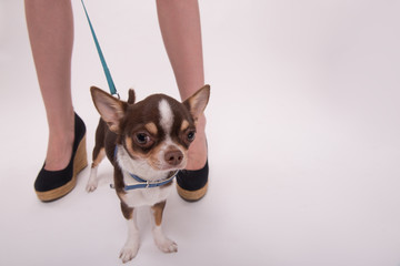 Pretty brunette  girl in retro style