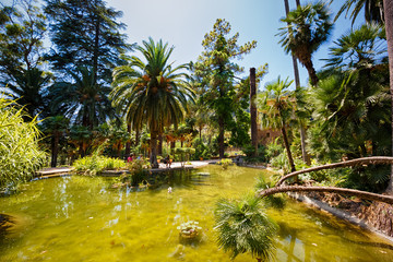 Alfabia Gardens