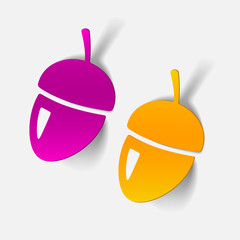 realistic design element: acorns