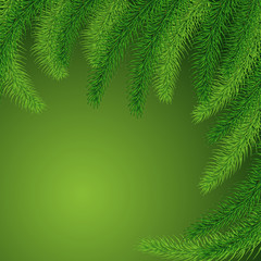 Fototapeta na wymiar Background of green prickly branches of a Christmas tree