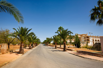 Fototapeta na wymiar Palm alley in Santanyi