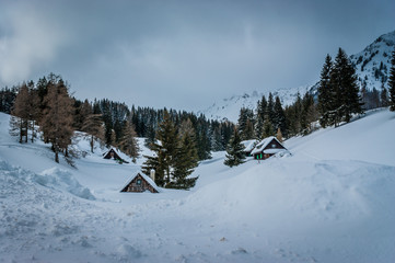 Fototapeta na wymiar Winter landscape - village covered with snow. Styria,Austria.