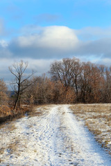 Obraz na płótnie Canvas dirt road in the snow