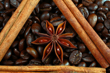 cinnamon and star anise