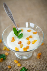 home sweet yogurt with raisins