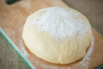 Fototapeta na wymiar yeast dough