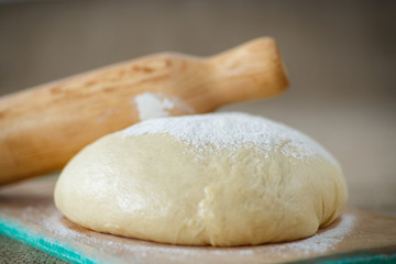 Fototapeta na wymiar yeast dough