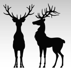 Silhouette of a deers