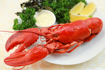 ロブスター