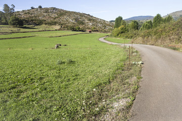 landscape with an asphalt road trough the countryside