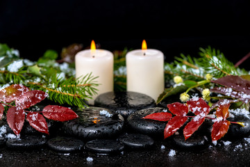 winter spa concept of evergreen branches, red leaves with drops,