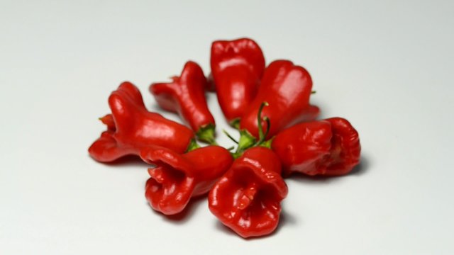 Chili Bischofsm&uuml;tze