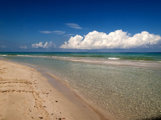 Fototapeta na wymiar Beach at Cuba