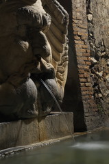 Fototapeta na wymiar Fontana Romana