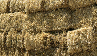Stacked Straw Hay Bails