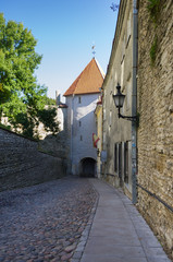 Tower of old Tallinn