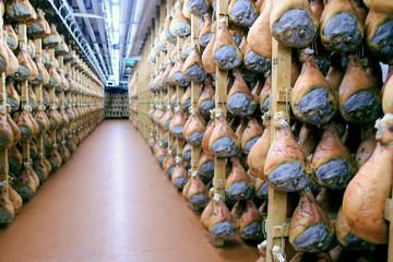 prosciutto di parma langhirano fase di stagionatura