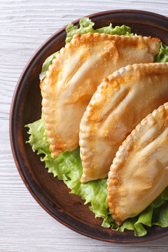 empanadas on a plate close-up. vertical view from above