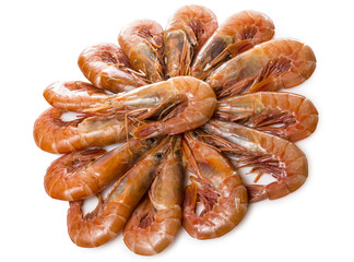 Langostinos crudos