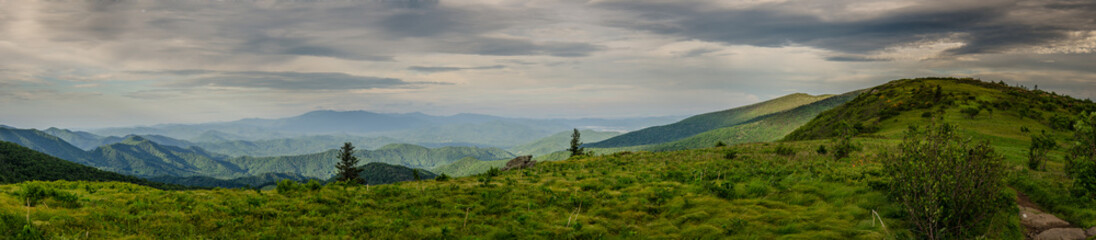 Panorama of Round Bald and Jane Bald