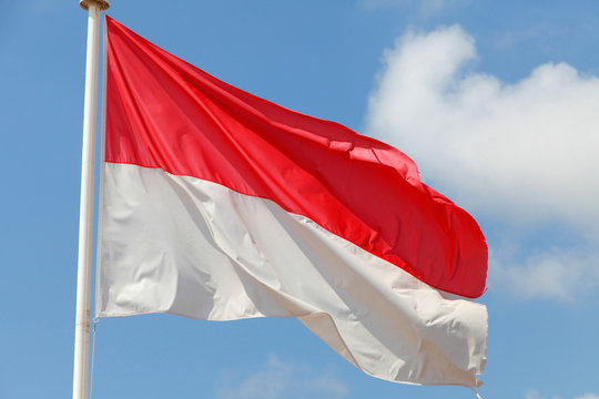 Monacos flag