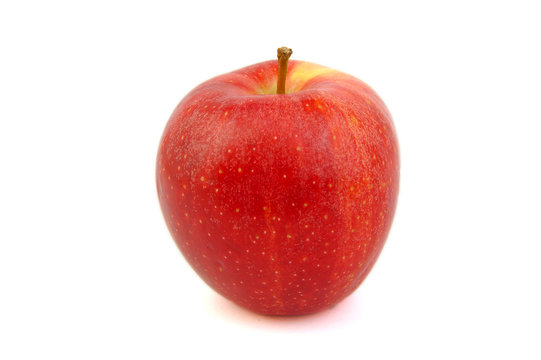 Red Royal Gala apple