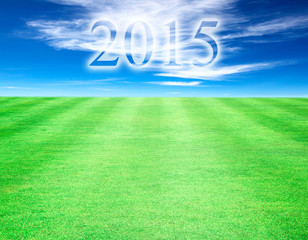 Lawn sky background year 2015.
