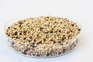 Organic Seed Mixes for Birds
