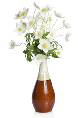 Beautiful bouquet of white flowers in a ceramic vase isolated on