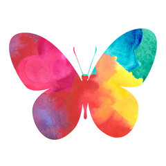 colorful watercolor butterfly