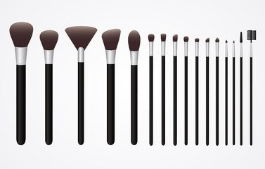 Set of Cosmetic Brushes for Make up
