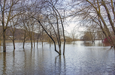 water rises