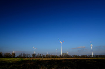 viele windraeder und blauer himmel