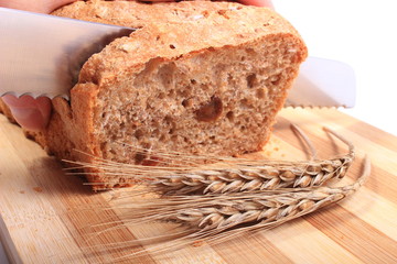 Hand of woman slicing fresh bread, ears of wheat