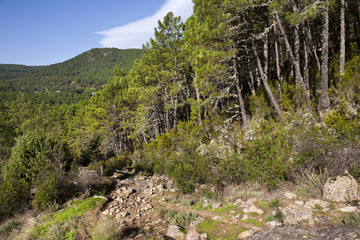 Garganta de los Pozos. Sierra de Gredos. Avila