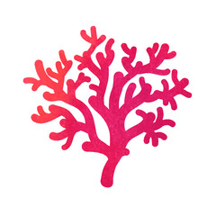 hand drawn decorative watercolor coral