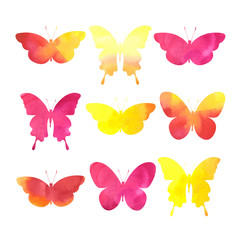 watercolor butterflies set