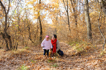 Fototapeta premium Picking up Dry Leaves