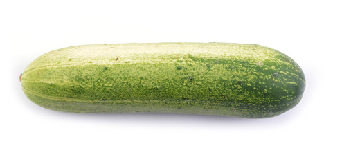 fresh cucumber isolated