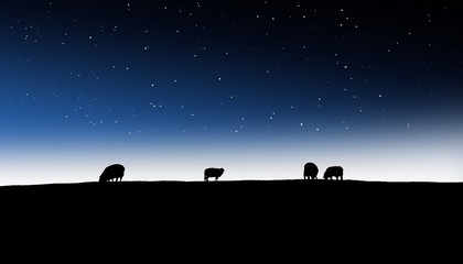 Obraz na płótnie Canvas Schafge vor Nachthimmel