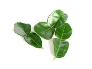Kaffir lime is a fruit native to tropical Asia.