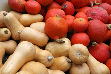 Butternut und Hokkaidokürbis