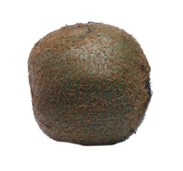 Fototapeta premium big green kiwi on a white background