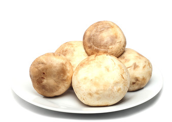 large mushrooms on a white plate