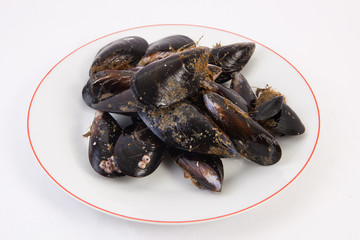 Raw fresh mussels